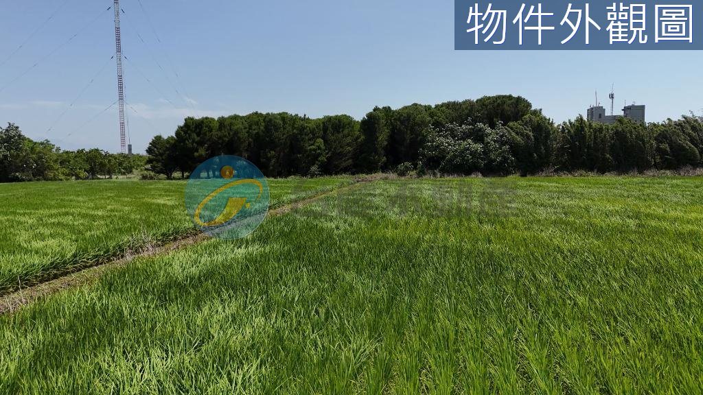 新豐鄉｜新竹新豐臨六米活巷面寬農地｜土地｜出售｜TC0051305｜物件照片2