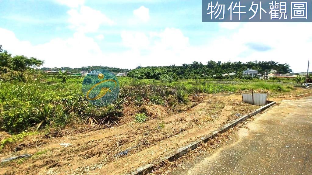 大樹姑山倉庫大面寬休閒農地｜物件照片2