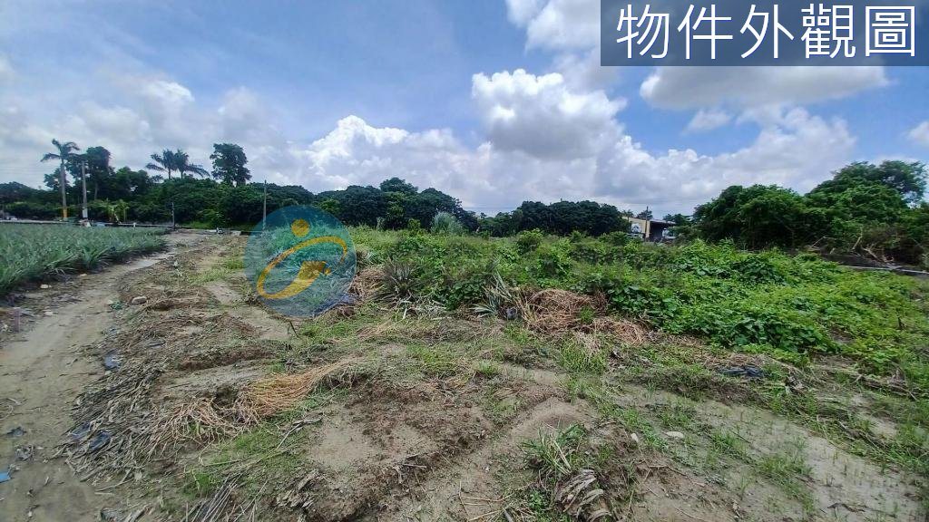 大樹姑山倉庫大面寬休閒農地｜物件照片5