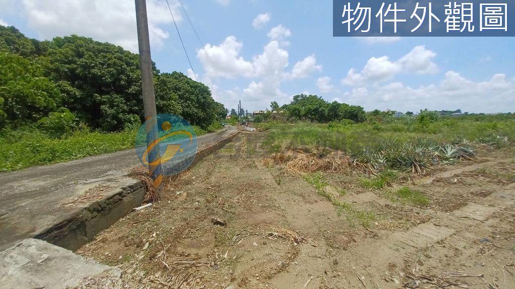 大樹姑山倉庫大面寬休閒農地｜物件照片6