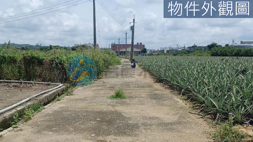 大樹區開心農場休閒方正農地｜物件照片2