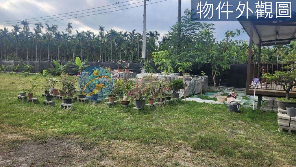 屏東內埔區龍泉便宜休閒小都農-E｜物件照片5