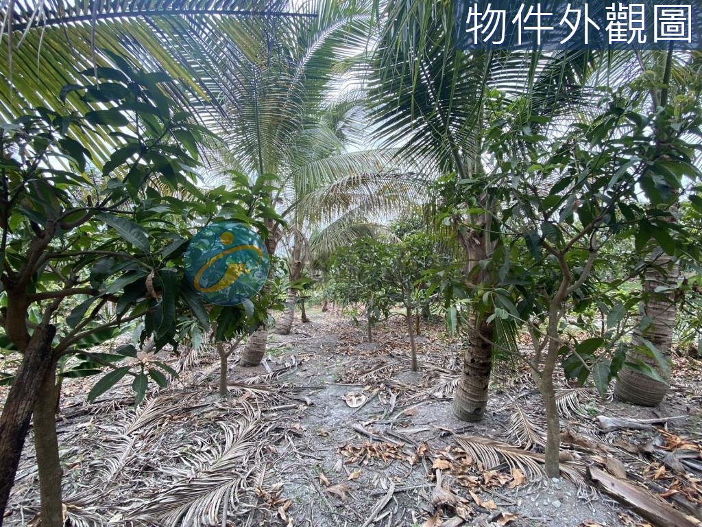 內埔有分管協議農地/有自來水/有電｜物件照片4