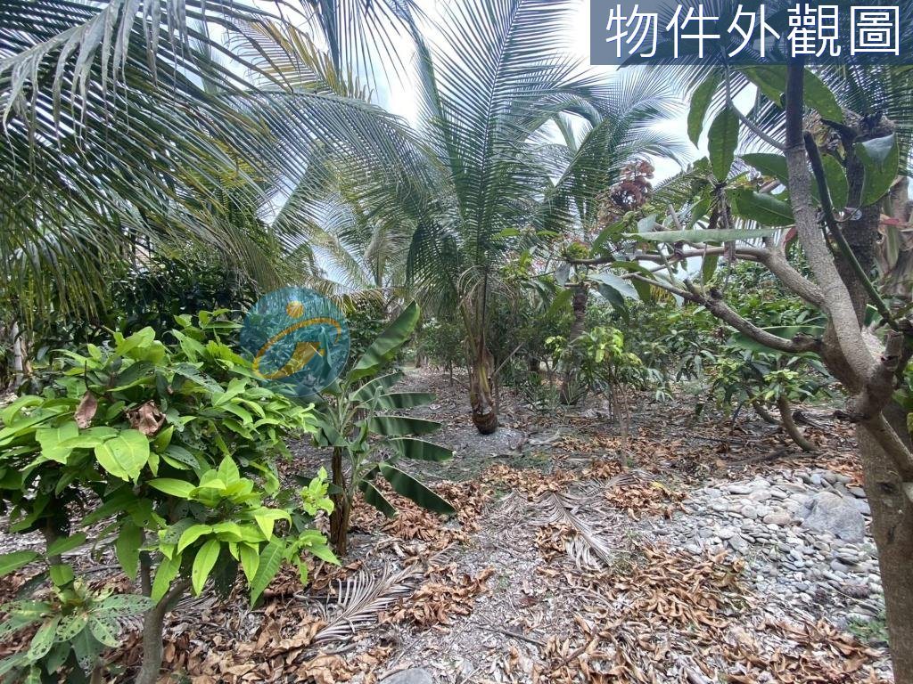 內埔有分管協議農地/有自來水/有電｜物件照片5