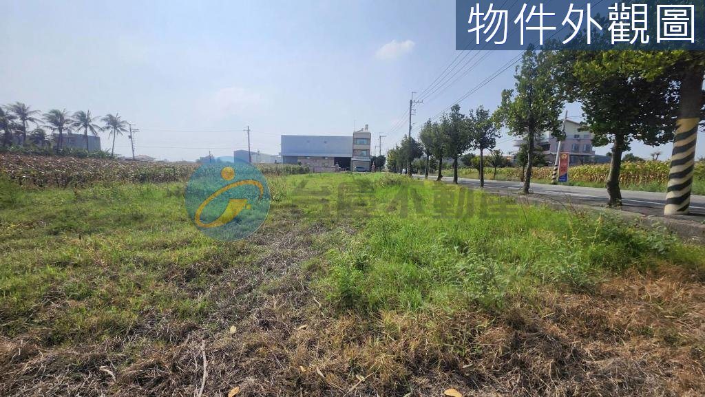 台南安定大面寬 △臨路12米農地｜物件照片2
