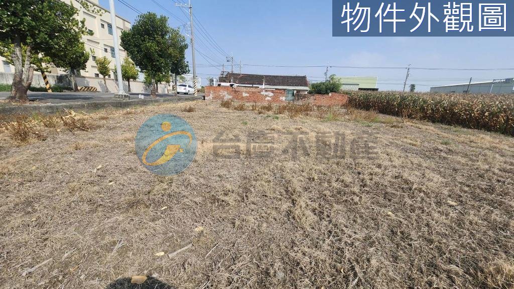 台南安定大面寬 △臨路12米農地｜物件照片3
