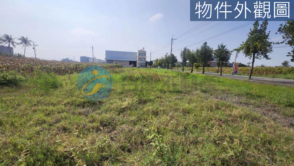 台南安定大面寬 △臨路12米農地｜物件照片4