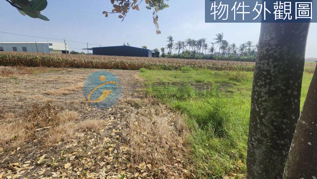 台南安定大面寬 △臨路12米農地｜物件照片5