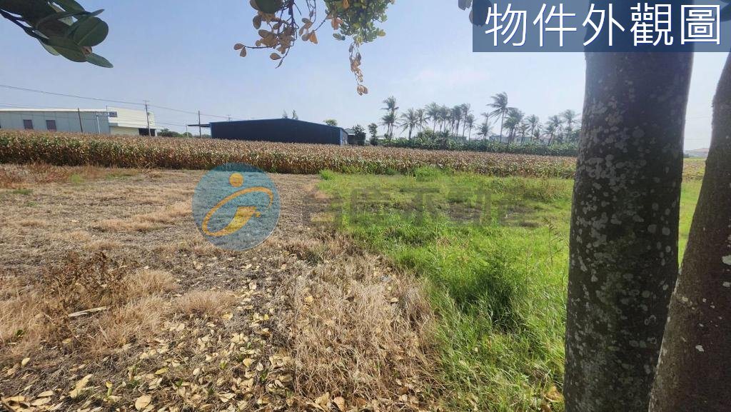台南安定大面寬 △臨路12米農地｜物件照片6