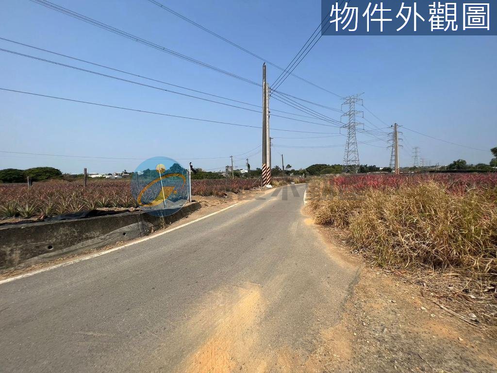 大樹區｜大樹水寮東高雄社區農地｜土地｜出售｜TC0051301｜物件照片2
