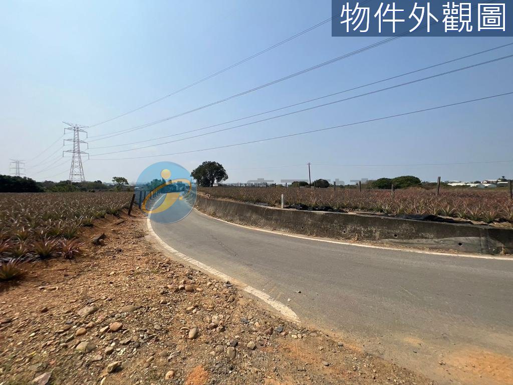 大樹區｜大樹水寮東高雄社區農地｜土地｜出售｜TC0051301｜物件照片3