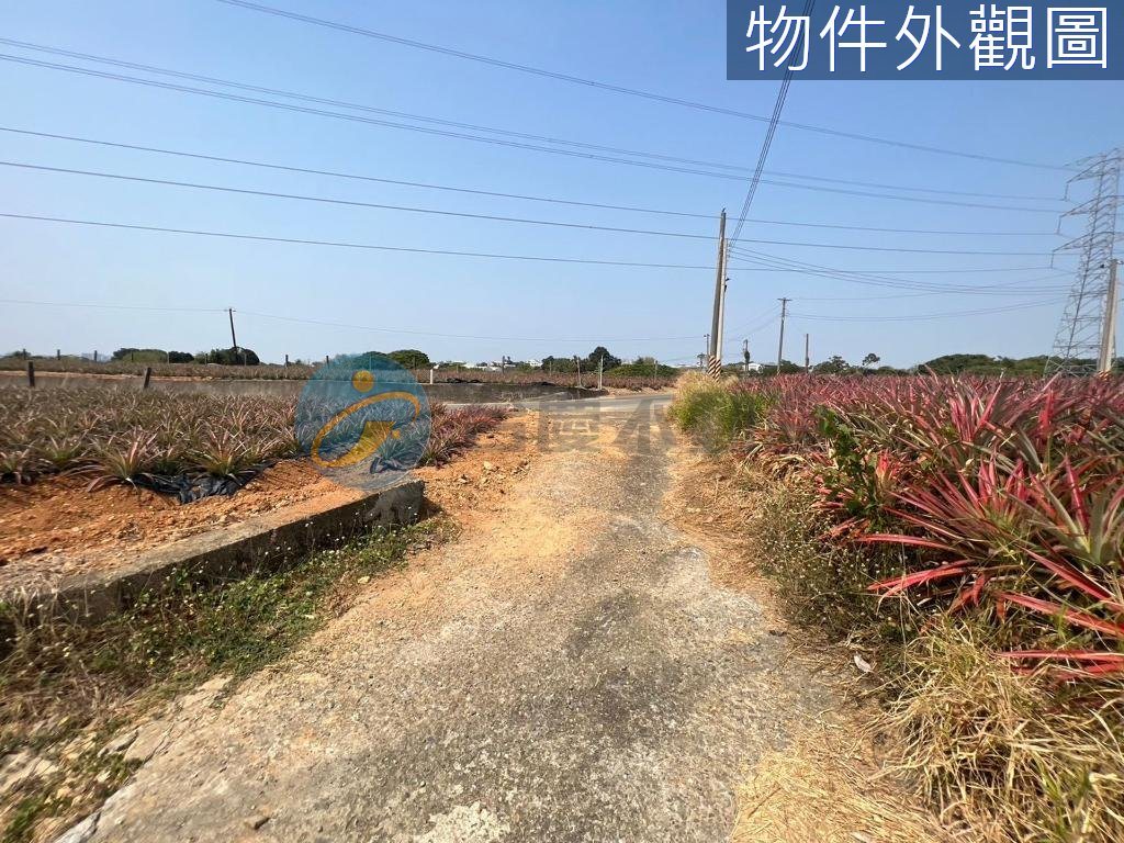 大樹區｜大樹水寮東高雄社區農地｜土地｜出售｜TC0051301｜物件照片4