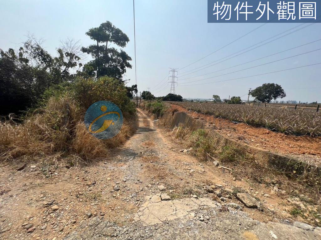 大樹區｜大樹水寮東高雄社區農地｜土地｜出售｜TC0051301｜物件照片5