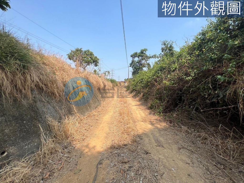 大樹區｜大樹水寮東高雄社區農地｜土地｜出售｜TC0051301｜物件照片6