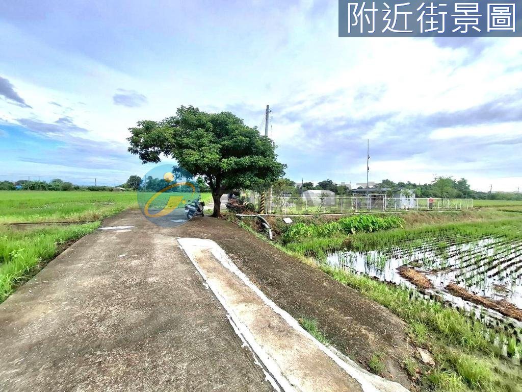 台南官田國小都內休閒農地｜物件照片6
