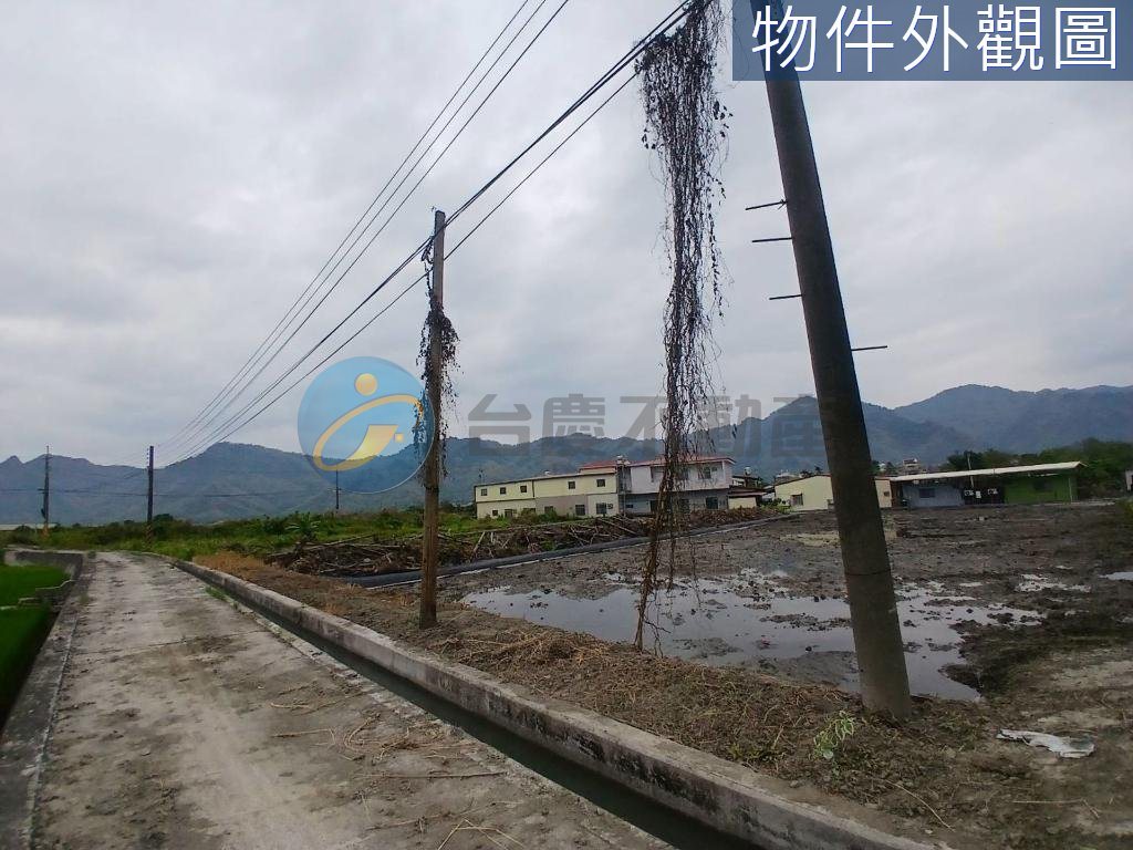 近美濃市中心超便宜都內農地｜物件照片3