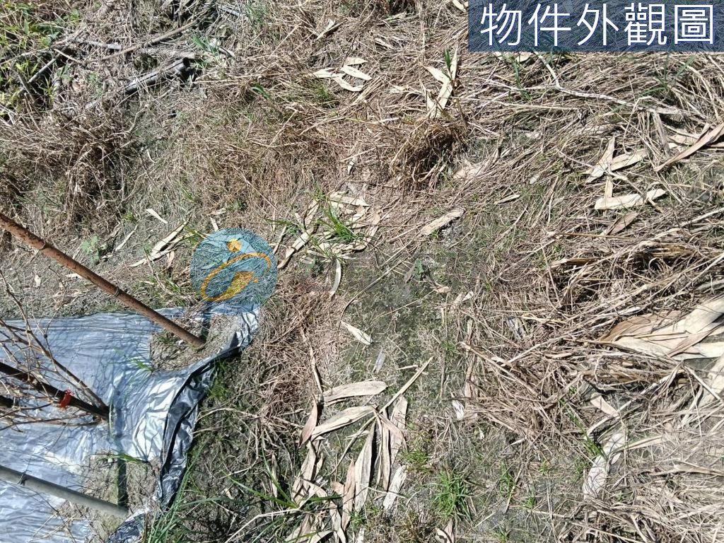 鄰近國3/九如惠農/農用牧地｜物件照片3