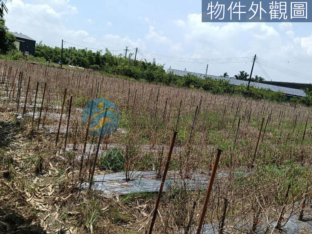 鄰近國3/九如惠農/農用牧地｜物件照片4