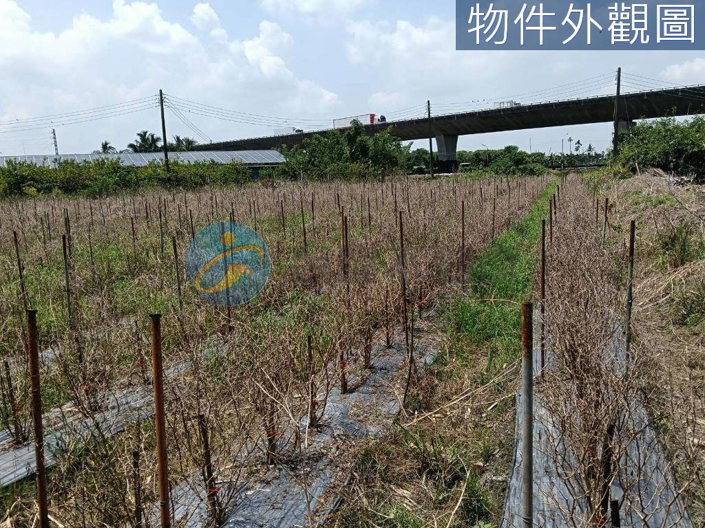 鄰近國3/九如惠農/農用牧地｜物件照片5