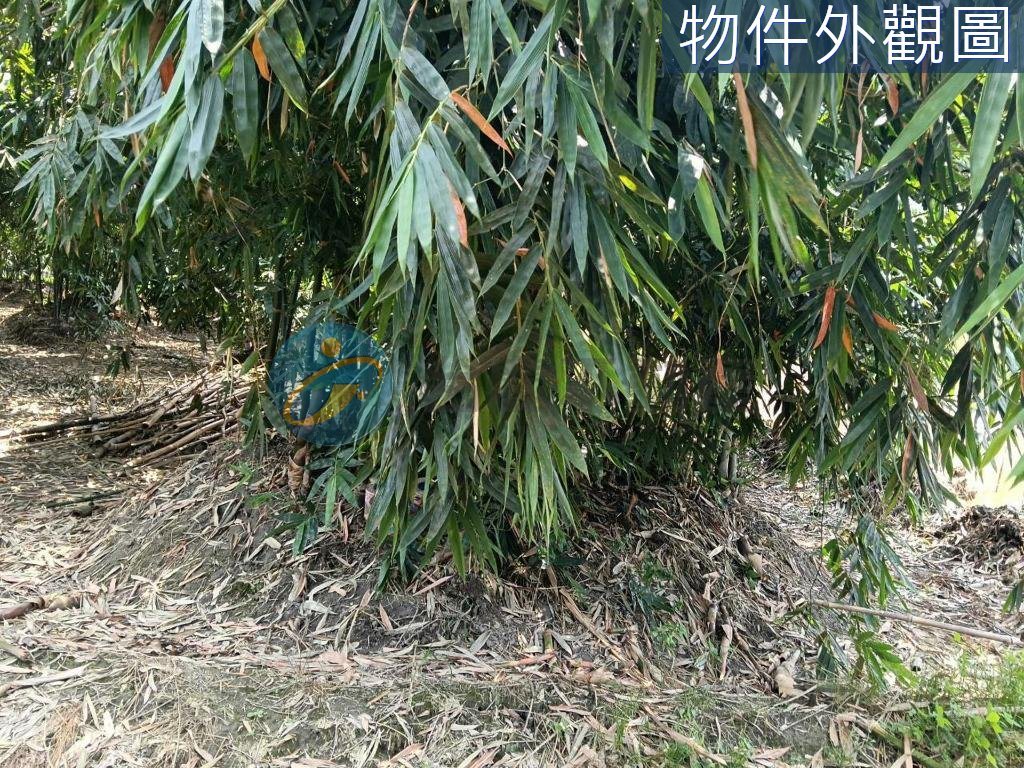 鄰近國3/九如惠農/農用牧地｜物件照片6