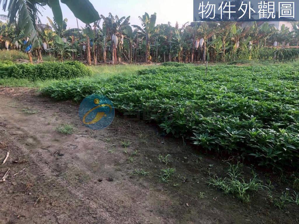 旗山近國道/醫院/  3.2萬 /坪 超便宜建地｜物件照片2