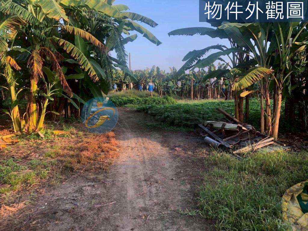 旗山近國道/醫院/  3.2萬 /坪 超便宜建地｜物件照片5