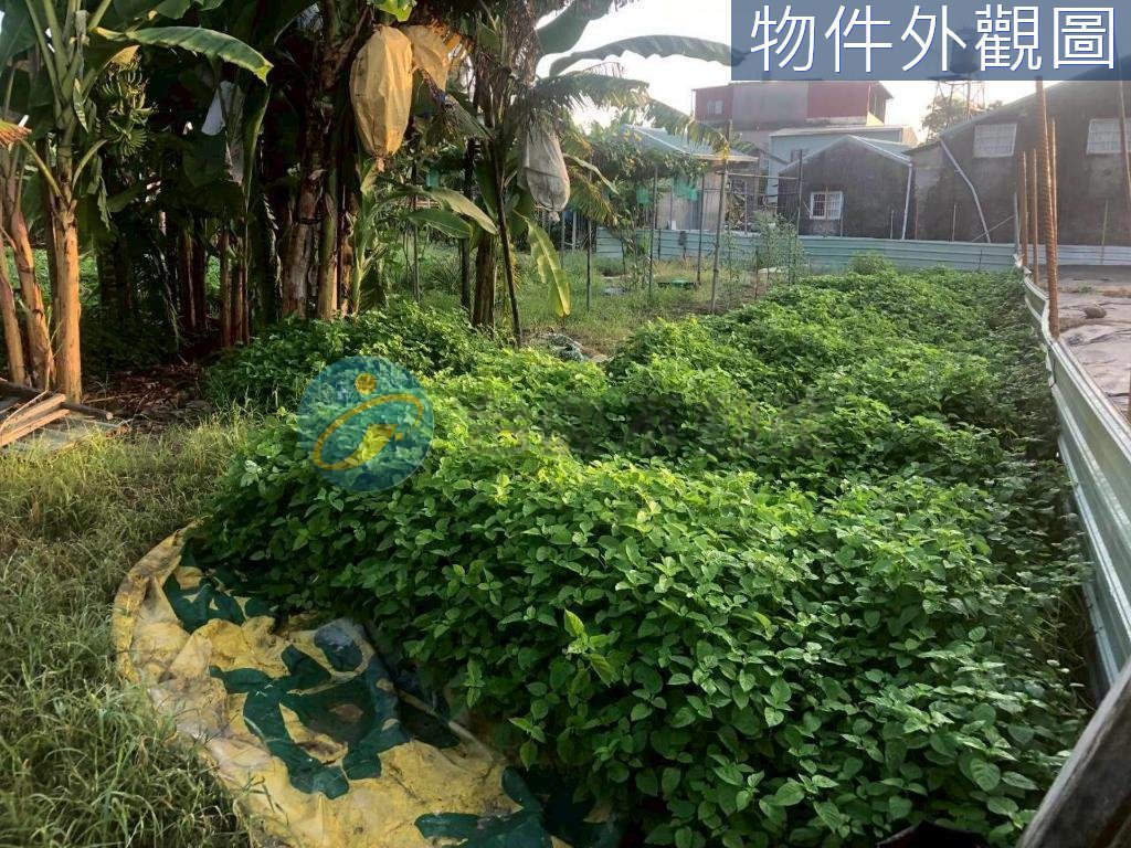旗山近國道/醫院/  3.2萬 /坪 超便宜建地｜物件照片6