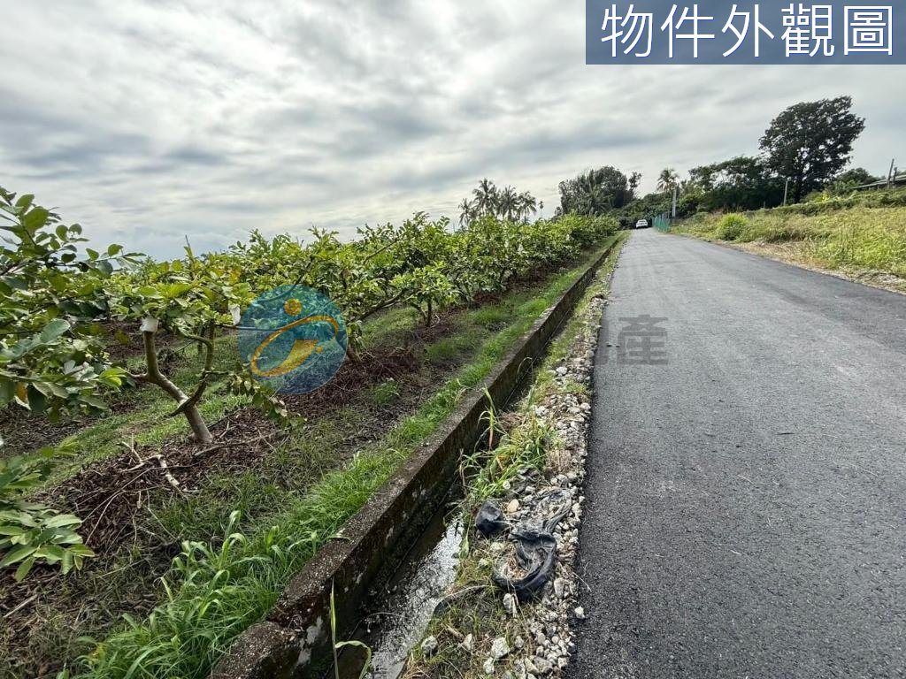 高樹夜市都內方正農地｜物件照片3