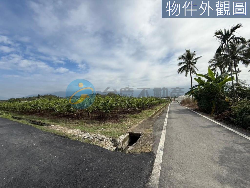 高樹夜市都內方正農地｜物件照片4