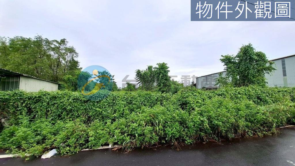 🐉屏東九如中庄大面寬農地🍍｜物件照片6