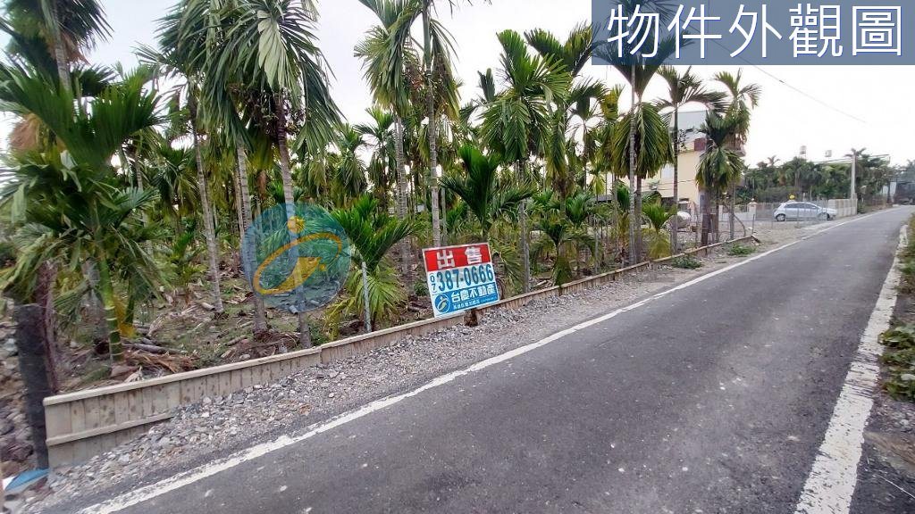 南州鄉｜南州運動公園都計內農地｜土地｜歷史物件參考｜TC0137366｜物件照片6