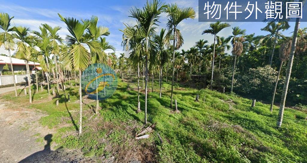 潮州綠色隧道休閒農地｜物件照片4