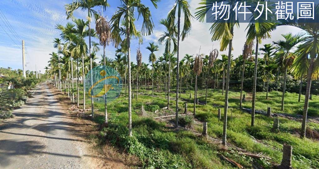 潮州綠色隧道休閒農地｜物件照片5