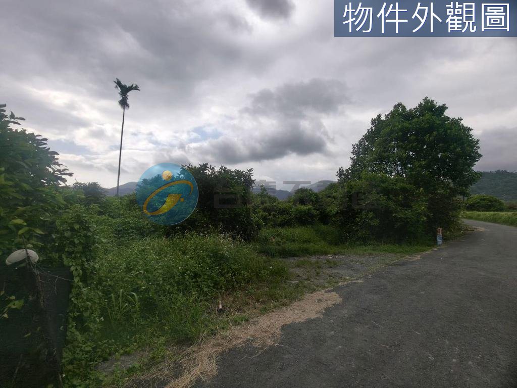 六龜區龍興國小附近便宜農地｜物件照片2