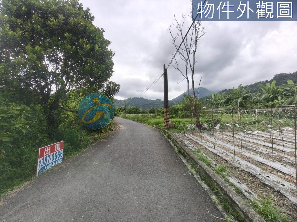六龜區龍興國小附近便宜農地｜物件照片4