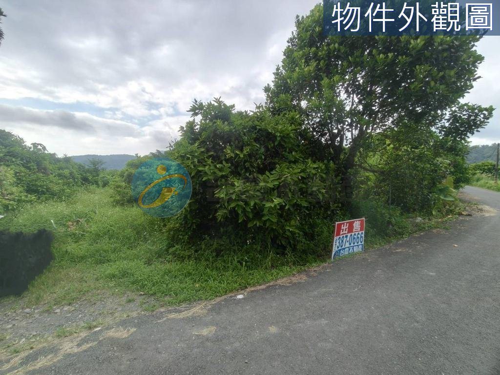 六龜區龍興國小附近便宜農地｜物件照片5