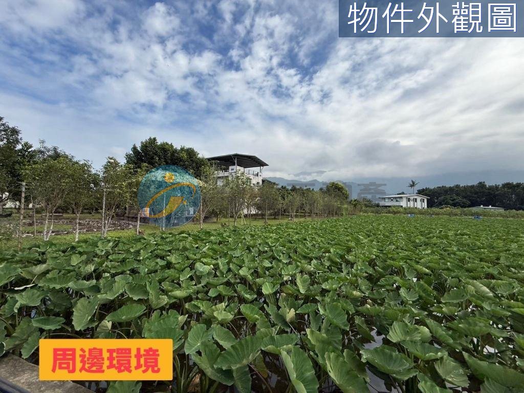 高樹農舍旁農地｜物件照片5