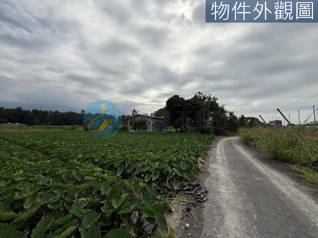 高樹農舍旁農地｜物件照片6