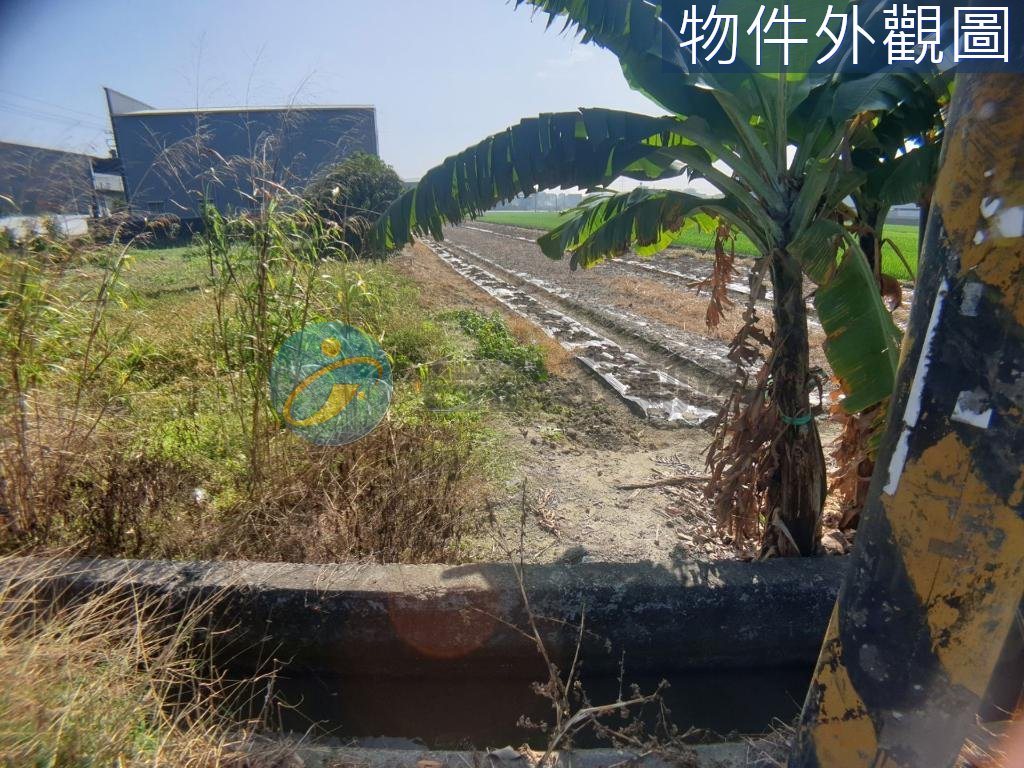 大寮三隆40米面寬農地(雙面路)｜物件照片4