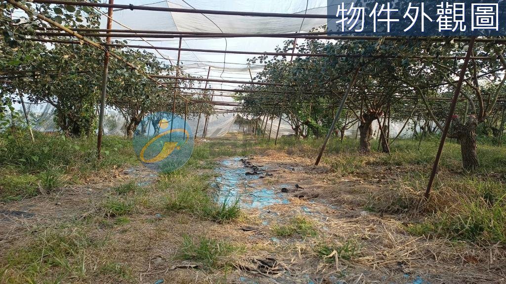 岡山交流道附近特定區計畫內農地/臨路,有水有電｜物件照片3