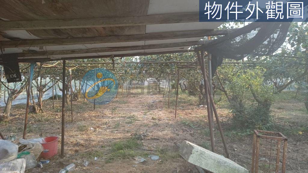 岡山交流道附近特定區計畫內農地/臨路,有水有電｜物件照片5