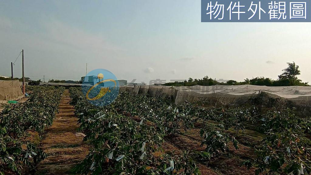 岡山交流道附近特定區計畫內農地/臨路,有水有電｜物件照片6