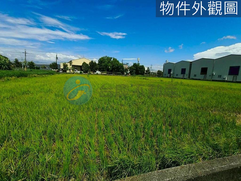 高雄大寮區｜大寮翁公園超便宜都內農地｜土地｜出售｜TC0137353｜物件照片3