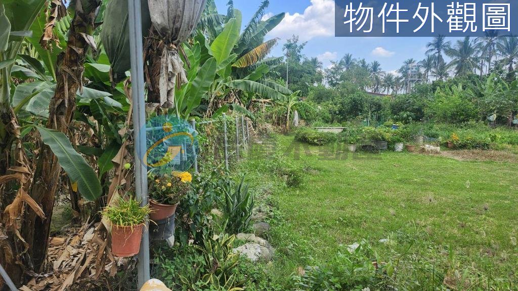 旗山大坪數休閒農地｜物件照片4
