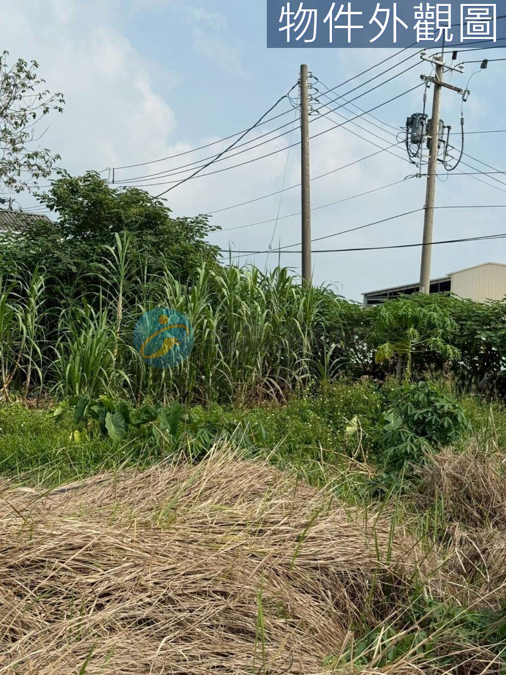 大寮光華路近88快速都內農地｜物件照片6