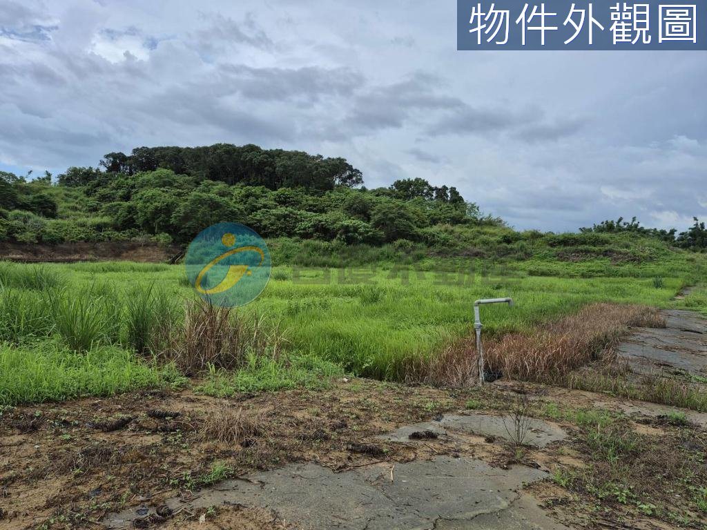 台南關廟 新光國小旁 方正農地｜物件照片3