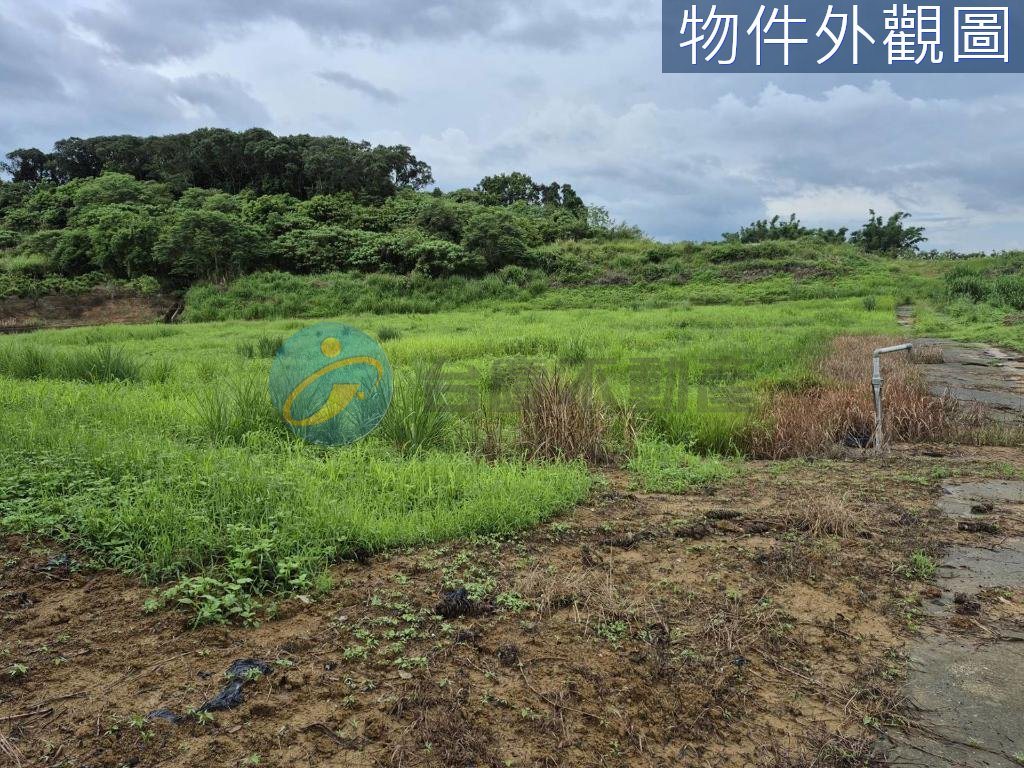 台南關廟 新光國小旁 方正農地｜物件照片6