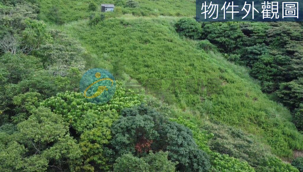 義大世界觀音山休閒傳家寶藏美農地｜物件照片4
