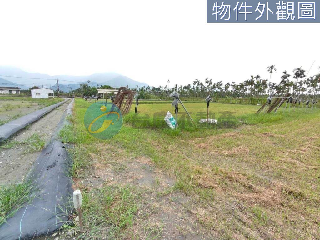 高樹臨路6分農地+合法資材室｜物件照片3