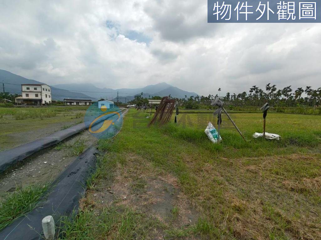 高樹臨路6分農地+合法資材室｜物件照片4